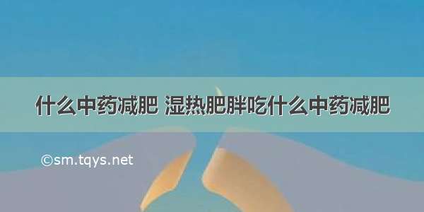 什么中药减肥 湿热肥胖吃什么中药减肥