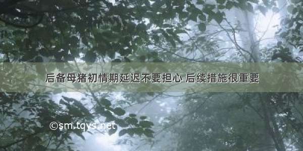 后备母猪初情期延迟不要担心 后续措施很重要