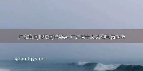 广东电商跨境商城平台 广东省十大跨境电商企业