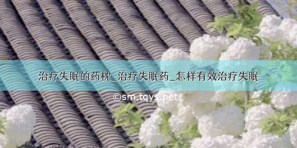 治疗失眠的药枕_治疗失眠药_怎样有效治疗失眠