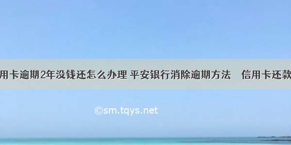 平安信用卡逾期2年没钱还怎么办理 平安银行消除逾期方法 – 信用卡还款 – 前端