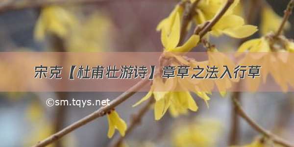 宋克【杜甫壮游诗】章草之法入行草