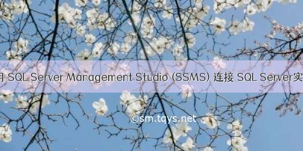 使用 SQL Server Management Studio (SSMS) 连接 SQL Server实例