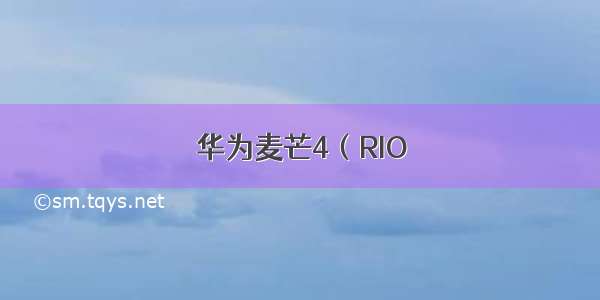 华为麦芒4（RIO