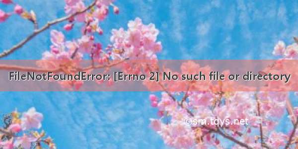 FileNotFoundError: [Errno 2] No such file or directory