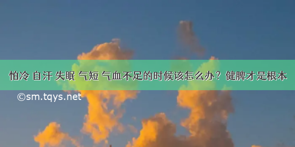 怕冷 自汗 失眠 气短 气血不足的时候该怎么办？健脾才是根本