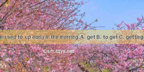 I am used to  up early in the morning.A. get B. to get C. getting