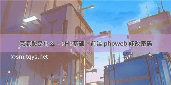 亮氨酸是什么 – PHP基础 – 前端 phpweb 修改密码