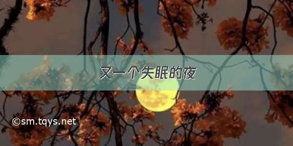 又一个失眠的夜