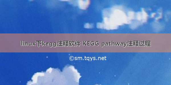 linux下kegg注释软件 KEGG pathway注释过程