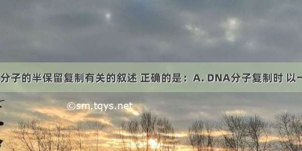 下列与DNA分子的半保留复制有关的叙述 正确的是：A. DNA分子复制时 以一条链为模板