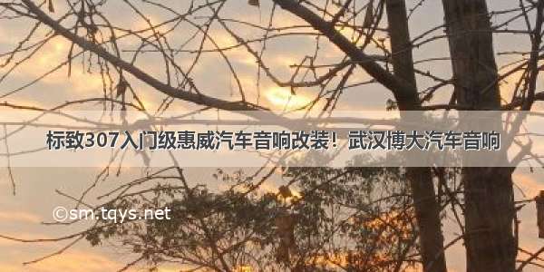 标致307入门级惠威汽车音响改装！武汉博大汽车音响