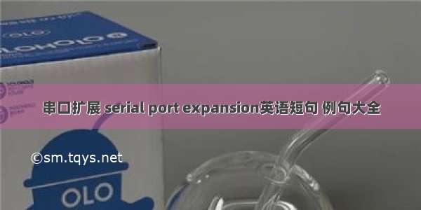 串口扩展 serial port expansion英语短句 例句大全