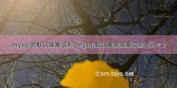 mysql的默认隔离级别_mysql默认事务隔离级别是什么？