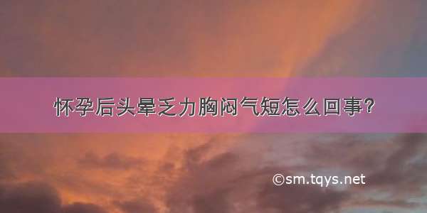 怀孕后头晕乏力胸闷气短怎么回事？