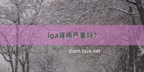 iga肾病严重吗？