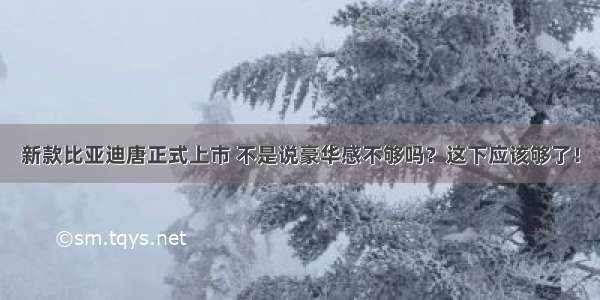 新款比亚迪唐正式上市 不是说豪华感不够吗？这下应该够了！