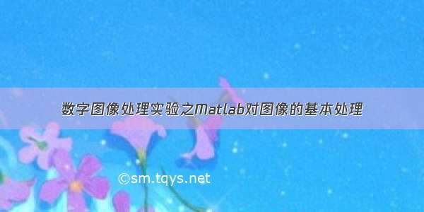 数字图像处理实验之Matlab对图像的基本处理