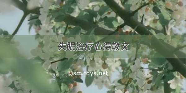 失眠治疗心得散文