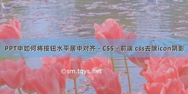 PPT中如何将按钮水平居中对齐 – CSS – 前端 css去除icon阴影