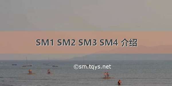 SM1 SM2 SM3 SM4 介绍