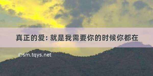 真正的爱: 就是我需要你的时候你都在