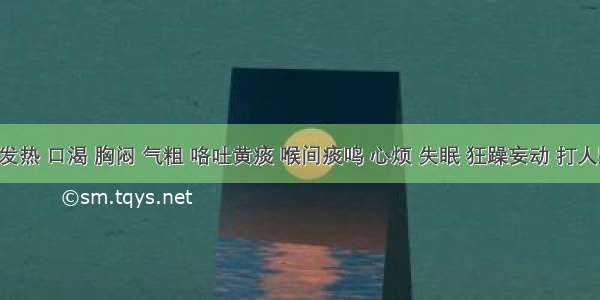 患者发热 口渴 胸闷 气粗 咯吐黄痰 喉间痰鸣 心烦 失眠 狂躁妄动 打人毁物 