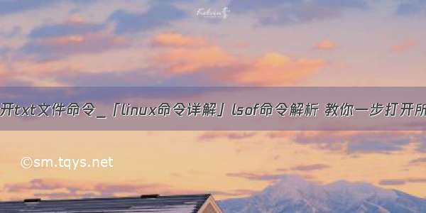 linux打开txt文件命令_「linux命令详解」lsof命令解析 教你一步打开所有文件