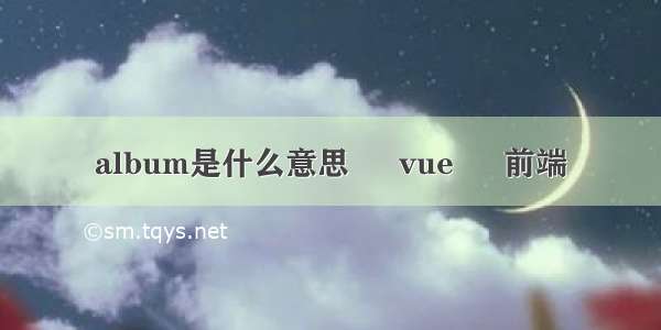 album是什么意思 – vue – 前端