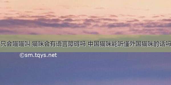 只会喵喵叫 猫咪会有语言障碍吗 中国猫咪能听懂外国猫咪的话吗