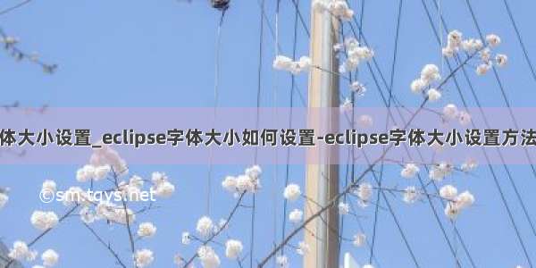 java eclipse字体大小设置_eclipse字体大小如何设置-eclipse字体大小设置方法 - 河东软件园...