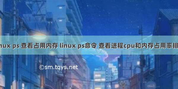 linux ps 查看占用内存 linux ps命令 查看进程cpu和内存占用率排序