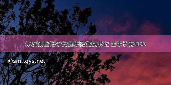 朱友刚出任平安健康险党委书记 董事长兼CEO