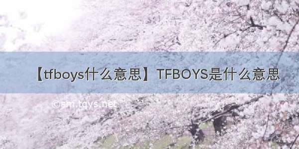 【tfboys什么意思】TFBOYS是什么意思