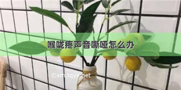 喉咙疼声音嘶哑怎么办