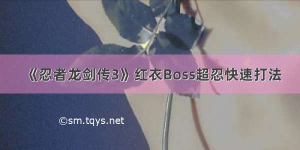 《忍者龙剑传3》红衣Boss超忍快速打法