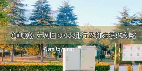 《血源》六周目BOSS排行及打法技巧攻略