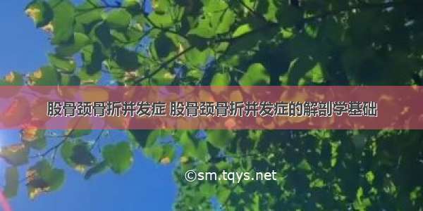 股骨颈骨折并发症 股骨颈骨折并发症的解剖学基础