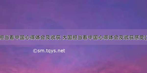 大国担当看中国心得体会及收获 大国担当看中国心得体会及收获感受(三篇)