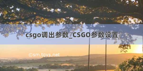 csgo调出参数_CSGO参数设置