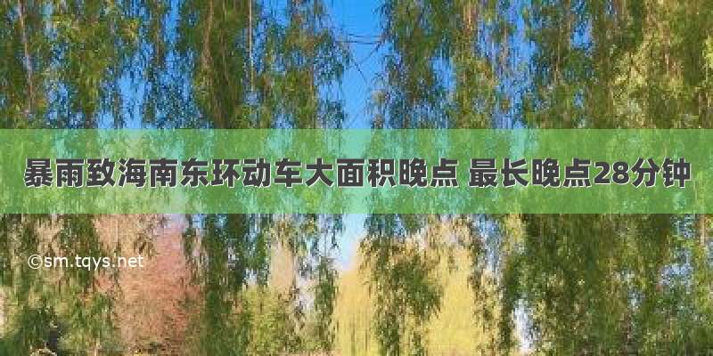 暴雨致海南东环动车大面积晚点 最长晚点28分钟