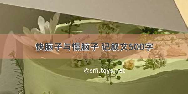 快脑子与慢脑子 记叙文500字