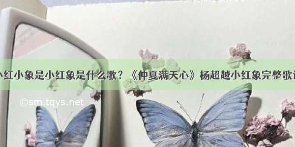 小红小象是小红象是什么歌？《仲夏满天心》杨超越小红象完整歌词