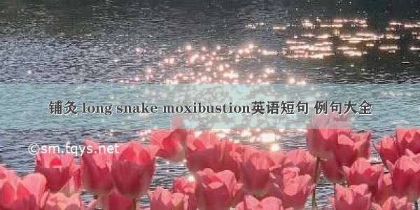 铺灸 long snake moxibustion英语短句 例句大全