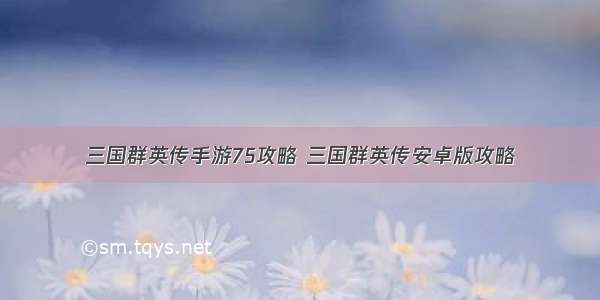 三国群英传手游75攻略 三国群英传安卓版攻略