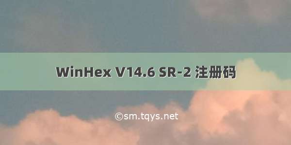 WinHex V14.6 SR-2 注册码