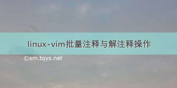 linux-vim批量注释与解注释操作