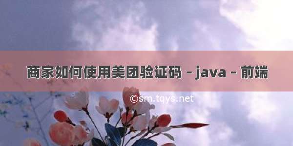 商家如何使用美团验证码 – java – 前端