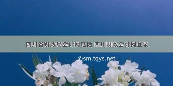 四川省财政局会计网电话 四川财政会计网登录