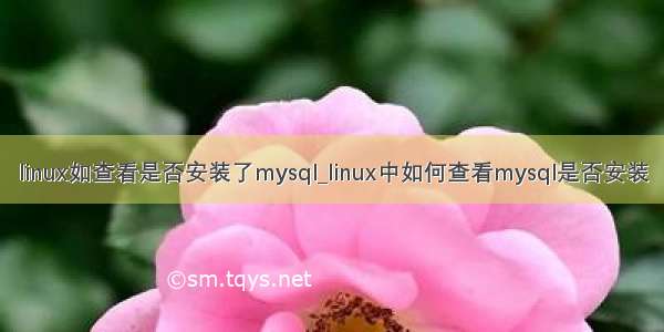 linux如查看是否安装了mysql_linux中如何查看mysql是否安装